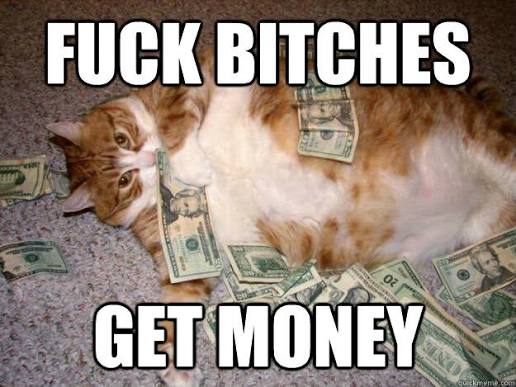 Cat in cash pile